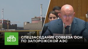«Коллеги в какой-то параллельной реальности»: Небензя подробно рассказал об обстрелах ЗАЭС