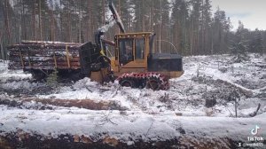 работа в лесу