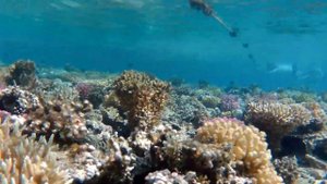 Makadi Bay / Makadi Oasis Resort.