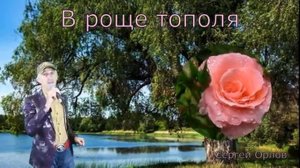 ?В роще тополя - ?Сергей Орлов (Дворовые песни)?