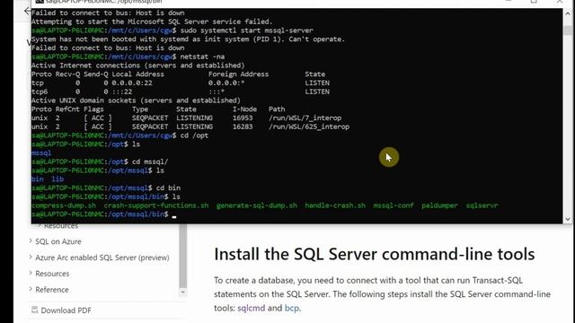Install SQL Server 2019 on WSL2 Ubuntu 20.04 смотреть онлайн