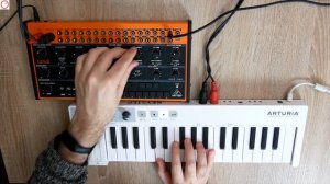 Behringer CRAVE Analog Synthesizer Unboxing & Raw Sound Demo no FX | SYNTH ANATOMY