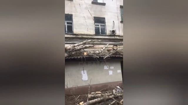В Саратове сильный ветер повалил дерево: пострадали две машины и дом смотреть онлайн