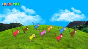 Can Tarsiers survive on Bohol islandㅣAnimals name, KidstoonㅣCoCosToy