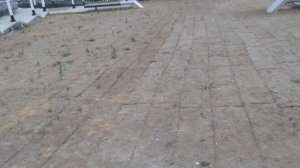 БКЛ и необычный выход из метро "ЦСКА"