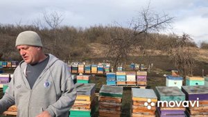 Разведенческая пасека 300+. Пчелопакеты, матки на 2022 г.