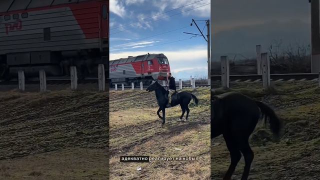 Продан! Вороной жеребец. Полных 5 лет. 158 см  в/х