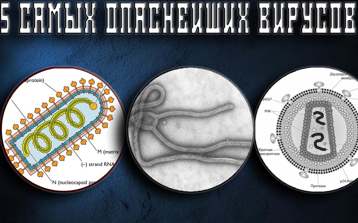 5 САМЫХ ОПАСНЕЙШИХ ВИРУСОВ