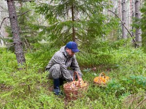 ГРИБЫ ПОВСЮДУ В ЭТОМ ЛЕСУ! Отличная тихая охота!