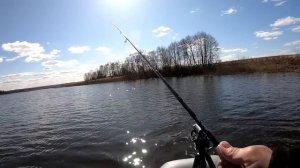 На этом озере МОРЕ ГОЛОДНЫХ щук!!! Ловля щуки . Рыбалка на щуку . Рыбалка на спиннинг .