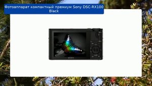Фотоаппарат компактный премиум Sony DSC-RX100 Black обзор и отзыв