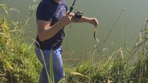 Волго-ахтубинская пойма, Рыбалка 2017