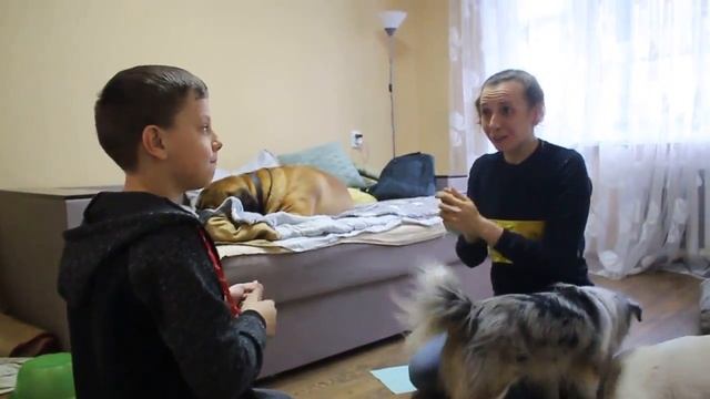 Канистерапия. Психология. Упражнения для снятии агрессии и возбуждения