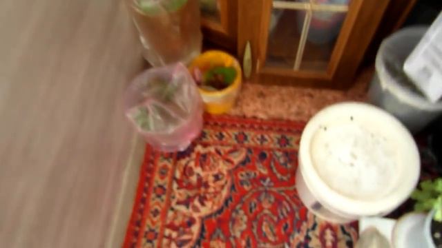 Мы снова сделали это...новая уценка + пару слов про удобрения. смотреть онлайн