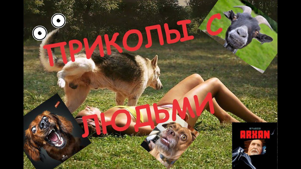 Приколы с людьми funny videos with people смотреть онлайн