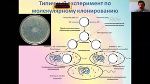 А что сейчас может биотехнология? Это просто фантастика! 10.10.2020