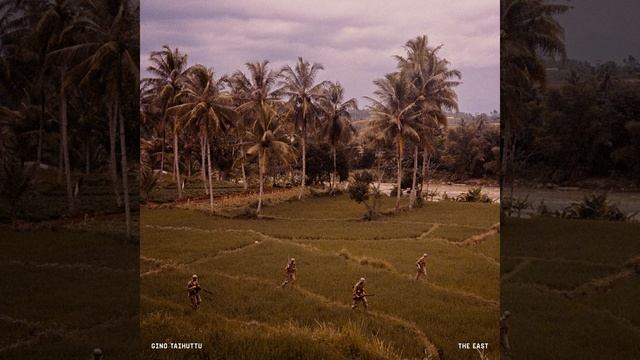 FIELDS OF JAVA смотреть онлайн