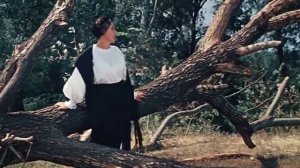 Свадьба в Малиновке Ария Софии