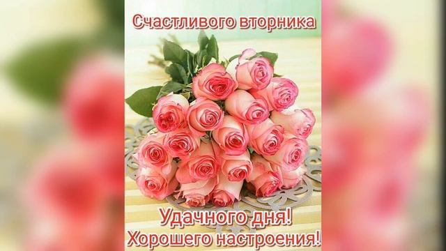 Чудесного вторника! Прекрасного вторника! Удачного вторника!