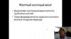Кость как орган  лекция
