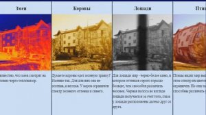 Как разные животные видят один и тот же мир?