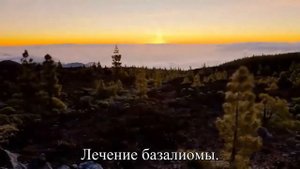 Базалиома симптомы, диагностика и лечение — Статья