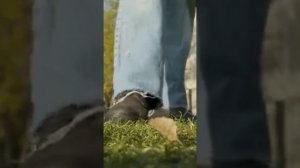 Джинсы Levi's 80-х годов! Оригинал. Винтаж.