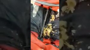 Мышки погрызли лодку