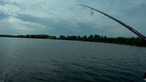 Хищник на Мелководье! Ловля щуки в Сентябре. Рыбалка после дождя.