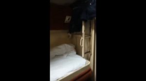 Как перевезти кошку в поезде на дальнее расстояние