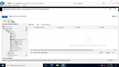 Microsoft Dynamics CRM training | Create entities in Dynamics CRM |Dynamics 365 custom fields| mscr