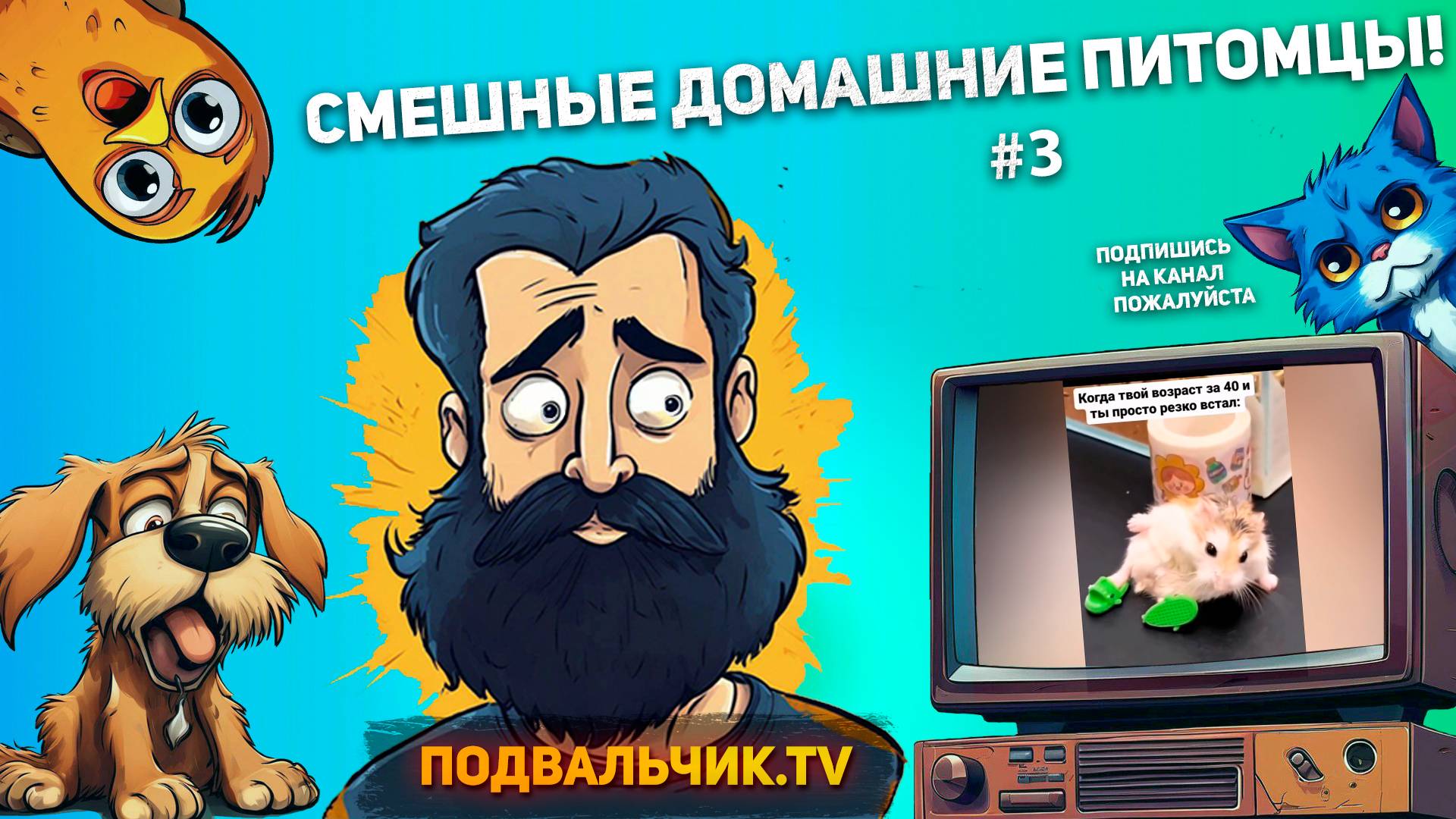 🐱СМЕШНЫЕ ДОМАШНИЕ ПИТОМЦЫ #3!  Подборка топовых видео про животных  2024 год!!!🐱