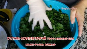 КРАПИВА квашеная от турецкой свекрови/ПОЛЬЗА, лечебные свойства.