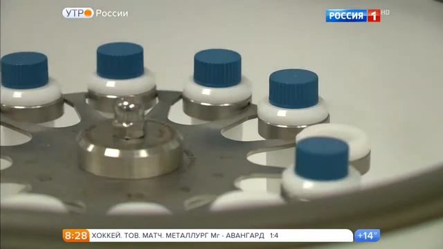 Психолог Наталья Шляпужникова о рыжих (Утро России на Россия1) смотреть онлайн