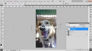 Как добавить водяной знак в фотошоп | How to add a watermark in Photoshop