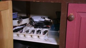 Cleaner is HORRIFIED at Hoarders Filthy House | Obsessive Compulsive Cleaners -FINAL EPISODE | Filt