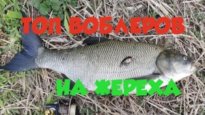 Лучшие воблеры на жереха. Топ 2020 года