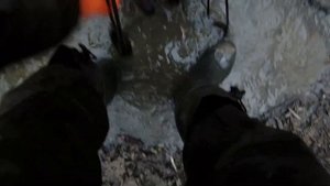 Охота на бобра/Трофей взят, продолжаем тестить приманку