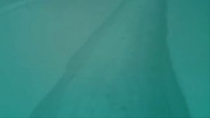 Тест снегоуборщика PROFI 6560М на гусеничном ходу (HD)