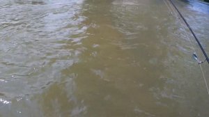 Рыбалка на реке Меша в конце июля, голавль, окунь, судак. Где крупная рыба?