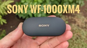 СОЧНО! Первые впечатления от Sony WF-1000XM4