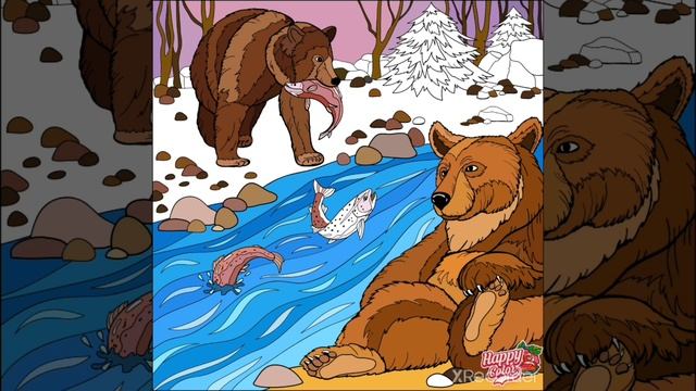 Happy Color | Paint By Number | Color By Number | Animal | Bear Coloring 3 - Ayı Boyama 3 смотреть онлайн