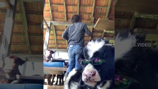 Стиль, стиль-это всё! Стиль !