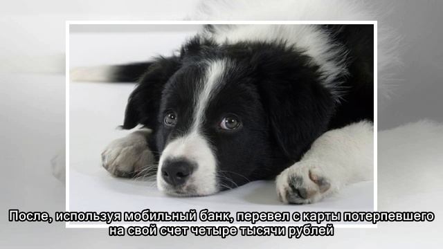 Безумные регионы: 81-летнему волгоградцу массаж на дому обошелся в 430 тысяч смотреть онлайн