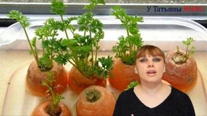 ХОЧЕШЬ вырастить на подоконнике 8 ОВОЩЕЙ? Я расскажу как!