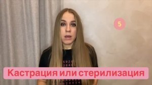 10 вещей о сибе///Что надо знать о сиба ину?