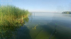 Отличная рыбалка на реке Черемшан.