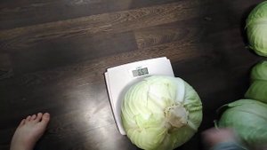 Капуста Белорусская 455 и Зимовка 1474.