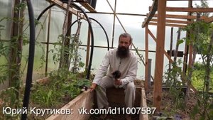 Выращивание овощей в открытом грунте и в теплице. Хранение. +бонус.