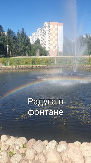 Залюбовались радугой и забыли загадать желание.